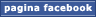 VieNormali.it su Facebook