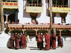 Ladak 7