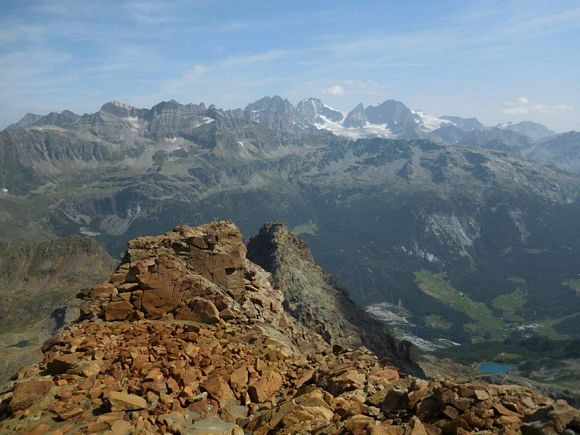Cima del Duca - Panorama di vetta, l'intero gruppo del Bernina