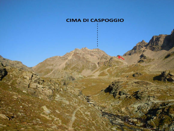 Cima di Caspoggio - Poco sopra l'Alpe Fellaria