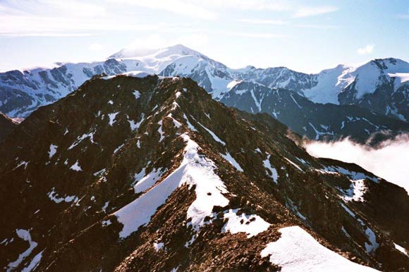 Cime dei Forni - Il tratto di cresta affilato che conduce alla Cima Centrale, che  a centro immagine, all'orizzonte il Cevedale