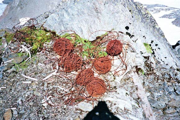 Cime dei Forni - Matasse di filo spinato arruginito, risalente alla Grande Guerra, sulla cresta della quota 3119