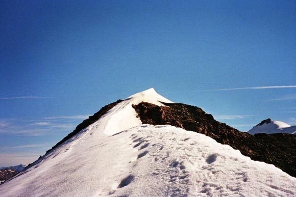 Monte Pasquale - Sulla cresta nevosa  