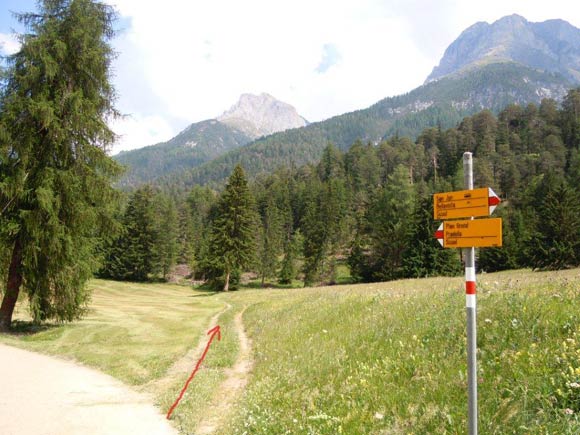 pizlischana - La deviazione che accorcia l'entrata in Val Lischana. In alto a destra i contrafforti del Piz Lischana.