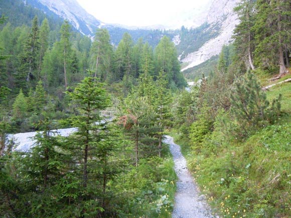 pizlischana - All'inizio della Val Lischana, il sentiero anche se non pi segnalato  sempre ben evidente.