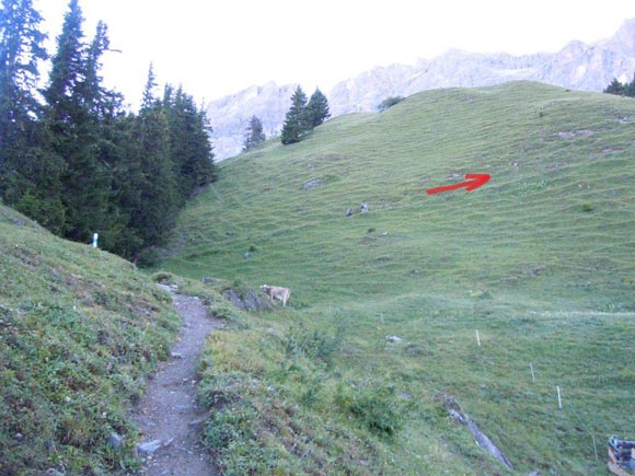 Piz Mitgel - Tutto il sentiero  segnalato con paletti, come quello a sinistra