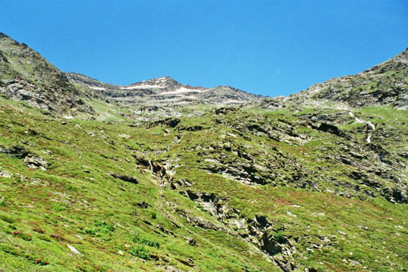 Puntone dei Fracin - Rheinquellhorn - In salita poco sopra l'Alpe di Giumello