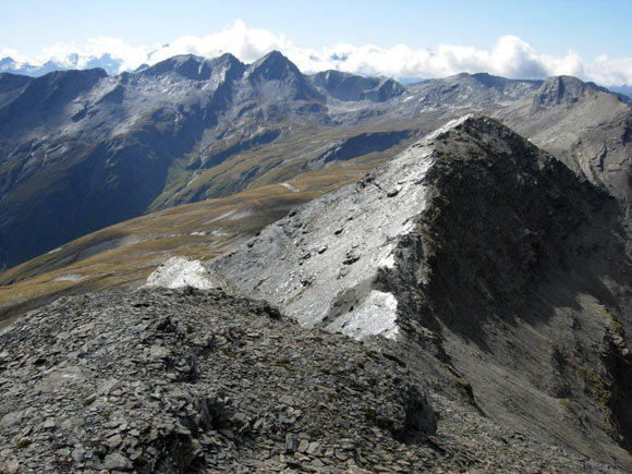 tscheischhorn - Panorama di vetta verso SSE. La Cima S e all'orizzonte, al centro la piramide del Gletscherhorn