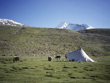 Nimaling Ladakh
