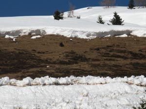 Punto di distacco di un lastrone di fondo