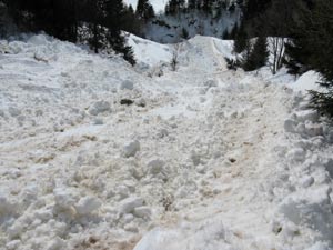 Zona di scorrimento di valanga bagnata
