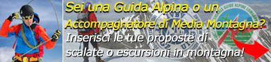 Guide Alpine