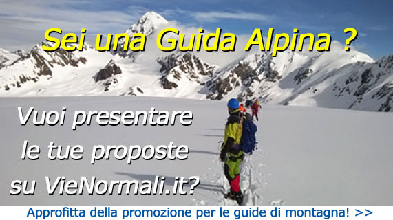 Guide Alpine