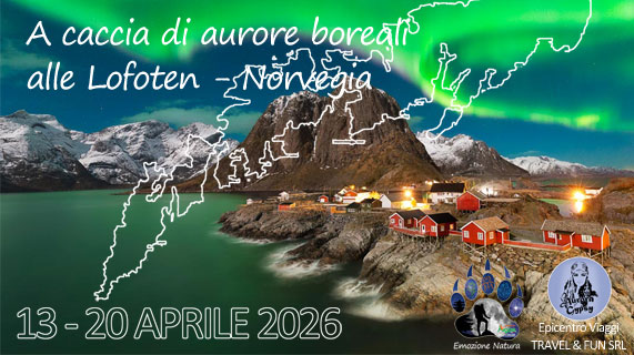 Aurore boreali alle Lofoten