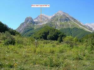 Via Normale Picco dei Caprai