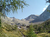 Via Normale Pizzo delle Vedrette (Fernerkopfl) - La Valfredda