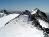 Via Normale Pizzo delle Vedrette (Fernerkopfl) - Vista sul Monte Nevoso