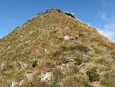 Via Normale Pizzo delle Orobie - Il crestone erboso finale