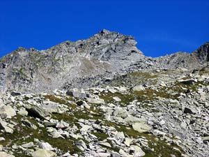 Via Normale Wandfluhhorn (Pizzo Biela)