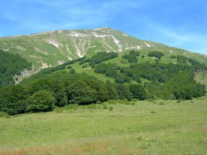 Via Normale Pizzo di Sevo