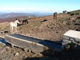 Via Normale Monte Pizzitello - La Fonte della Pedata 1810 mt