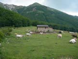 Via Normale Cima Falasca - Dai ruderi della Masseria Vaccareccia, vista del Rifugio Fioretti