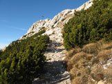 Via Normale Weisshorn - Corno Bianco - Tratto di salita sotto la cima