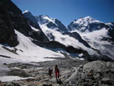 Via Normale Piz Tschierva - In discesa, verso la Chamanna da Tschierva