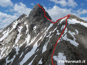 Via Normale Monte Gavia