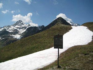 Via Normale Pizzo Borron