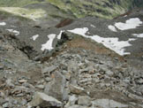 Via Normale Pizzo di Dosd - La conca nevosa dal Colle del Pizzo