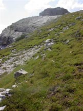 Via Normale Spigol del Palon - Sulla grande terrazza in vista della cima