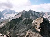 Via Normale Monte del Forno - Panorama di vetta verso il Disgrazia e il bacino del Forno