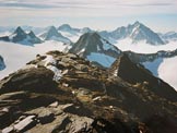 Via Normale Gross Muttenhorn - Panorama di vetta verso SE