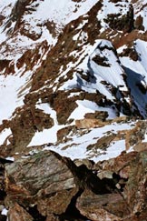 Via Normale Monte Braccia - Il canaletto, il ripido pendio innevato e la cresta SW, dalla vetta