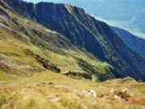 Via Normale Cima Vignone - LAlpe Vignone, dalla cresta SW della Cima Vignone