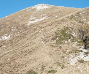 Via Normale Monte Loccia di Peve o Paver