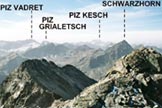 Via Normale Flela-Wisshorn - Panorama dalla vetta del Flela-Wisshorn, verso S