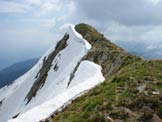 Via Normale Monte Seleron - La vetta dallanticima