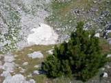 Via Normale Monte Pollino - Nevaio in una dolina vicino alla vetta