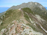 Via Normale Camogh - Sulla cresta fra il Monte Segor e il Camogh