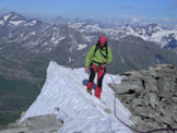 Via Normale Zapporthorn-Spigolo SSE - L affilato tratto finale a pochi metri dalla vetta.