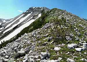 Via Normale Monte Pescofalcone / Pesco Falcone