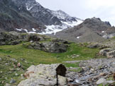 Via Normale Cima di Savoretta - Al pianoro sopra il promontorio