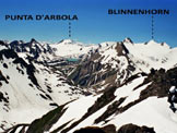 Via Normale Nufenenstock - Il bellissimo panorama verso SW, dalla vetta