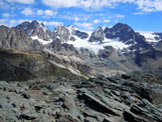 Via Normale Sasso Nero - Il Gruppo del Bernina dalla vetta (q. 2921 m)