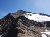 Via Normale Pizzo Tresero - Cresta W - La Cresta Ovest dalla Punta del Segnale.