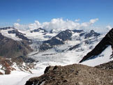 Via Normale Pizzo Tresero - Cresta W - Il Ghiacciaio dei Forni dalla cima.