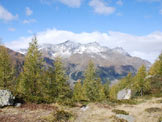 Via Normale Monte Storile - Via Normale da W - Sul terrazzo all´uscita del bosco.