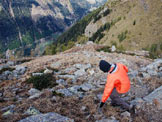 Via Normale Monte Storile - Via Normale da W - Scendendo dalla cima.